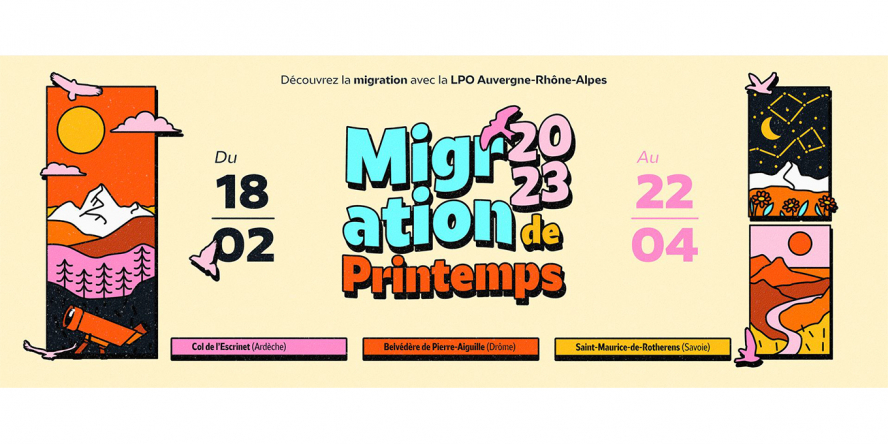 Migration de printemps